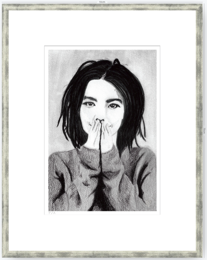 Bjork - 33 x 48 cm