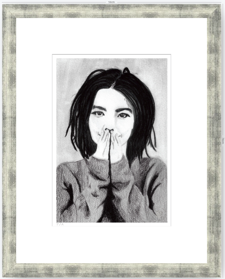 Bjork - 33 x 48 cm