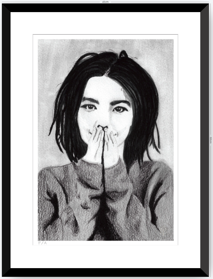 Bjork - 33 x 48 cm