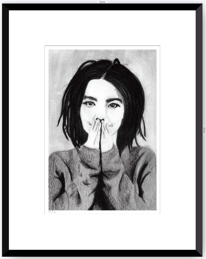 Bjork - 33 x 48 cm