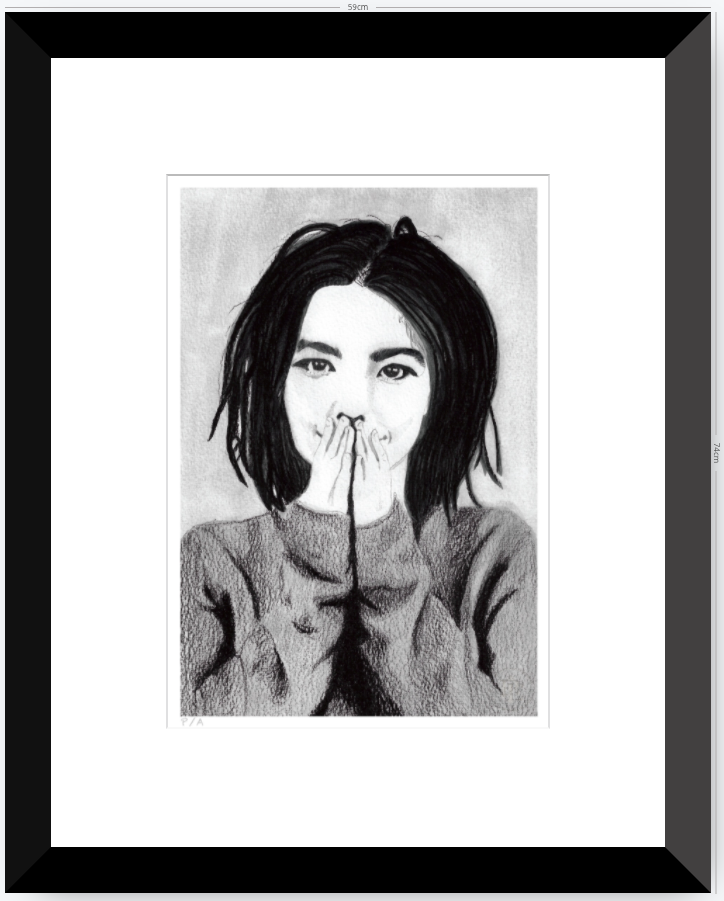Bjork - 33 x 48 cm