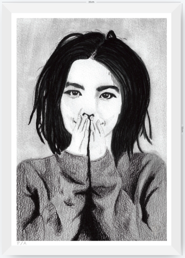 Bjork - 33 x 48 cm