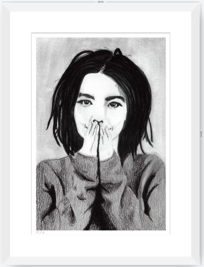 Bjork - 33 x 48 cm