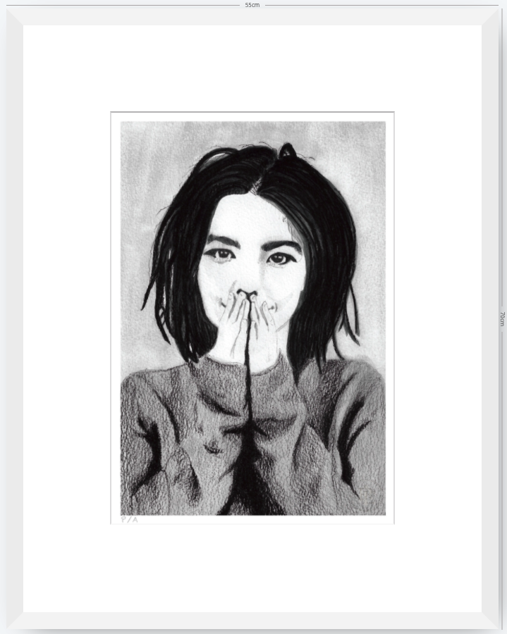 Bjork - 33 x 48 cm