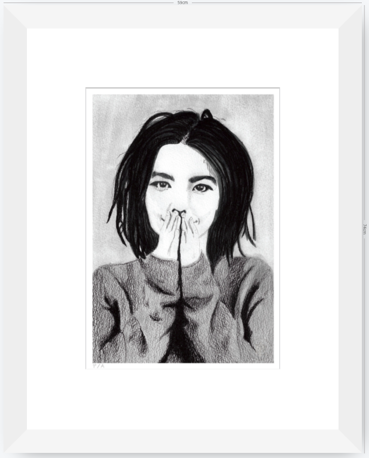 Bjork - 33 x 48 cm