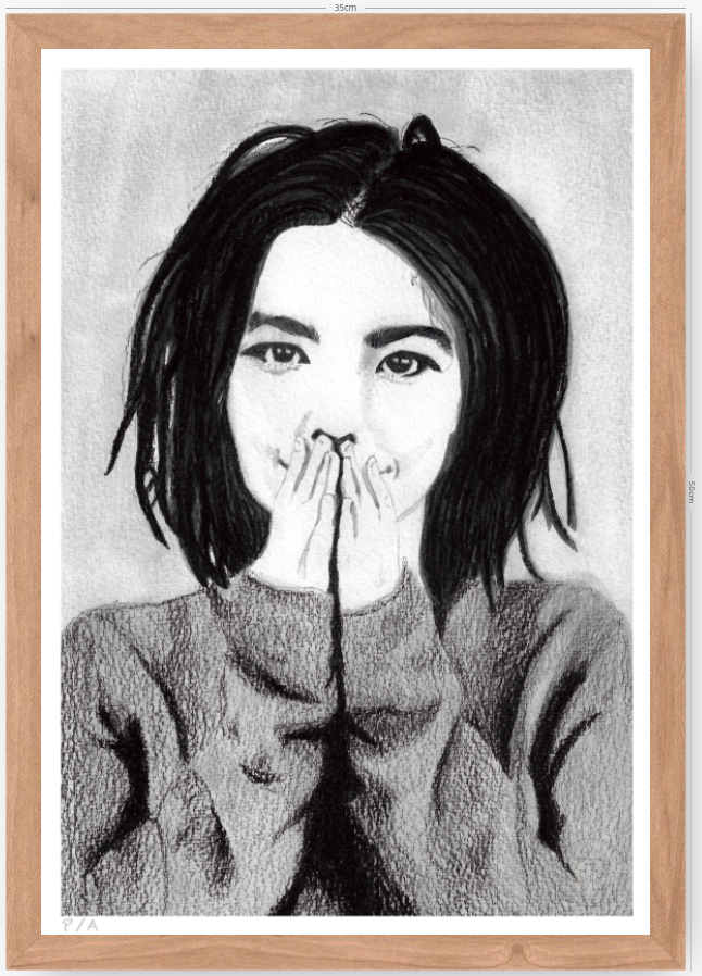 Bjork - 33 x 48 cm