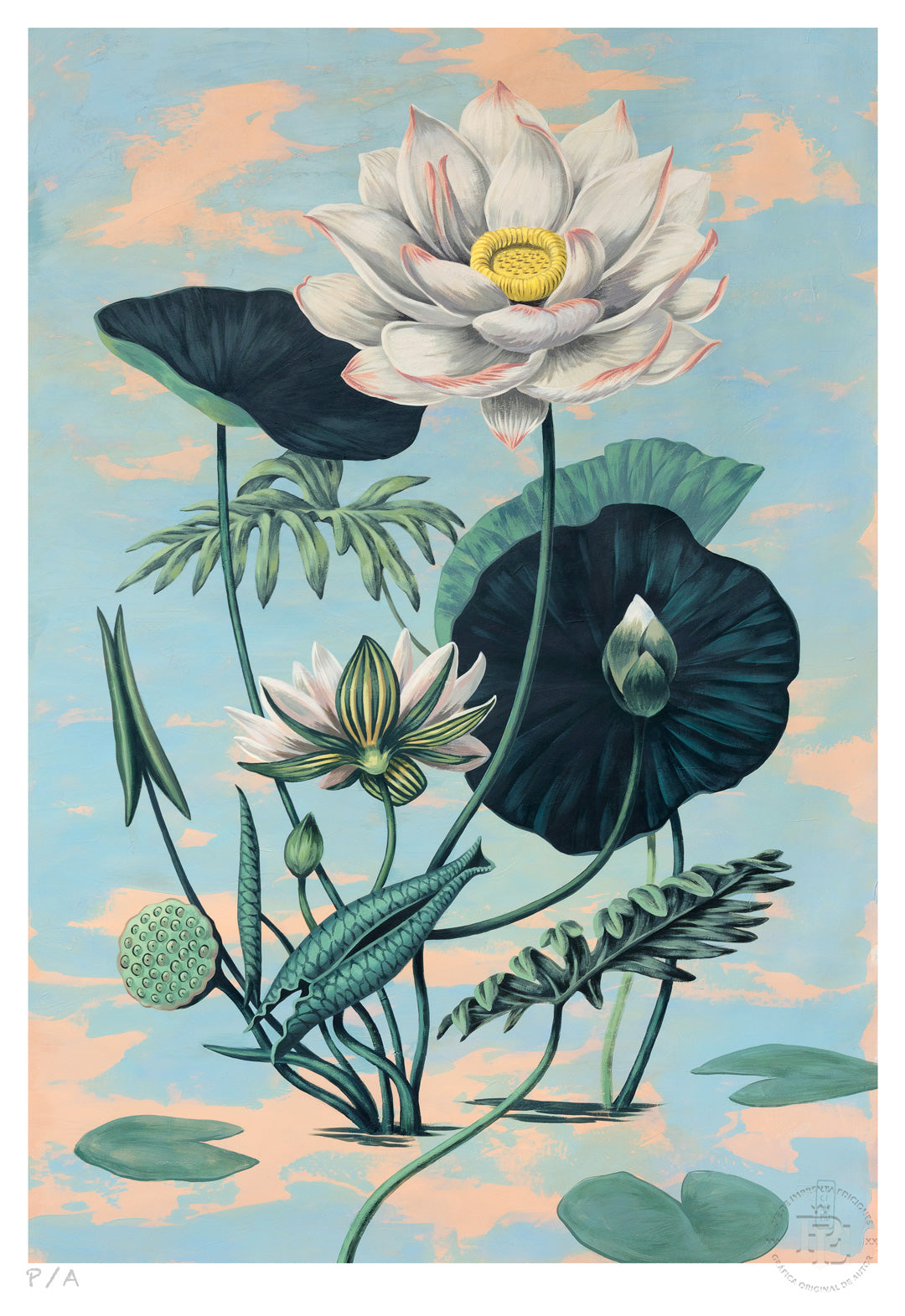 Lotus II - 33 x 48 cm