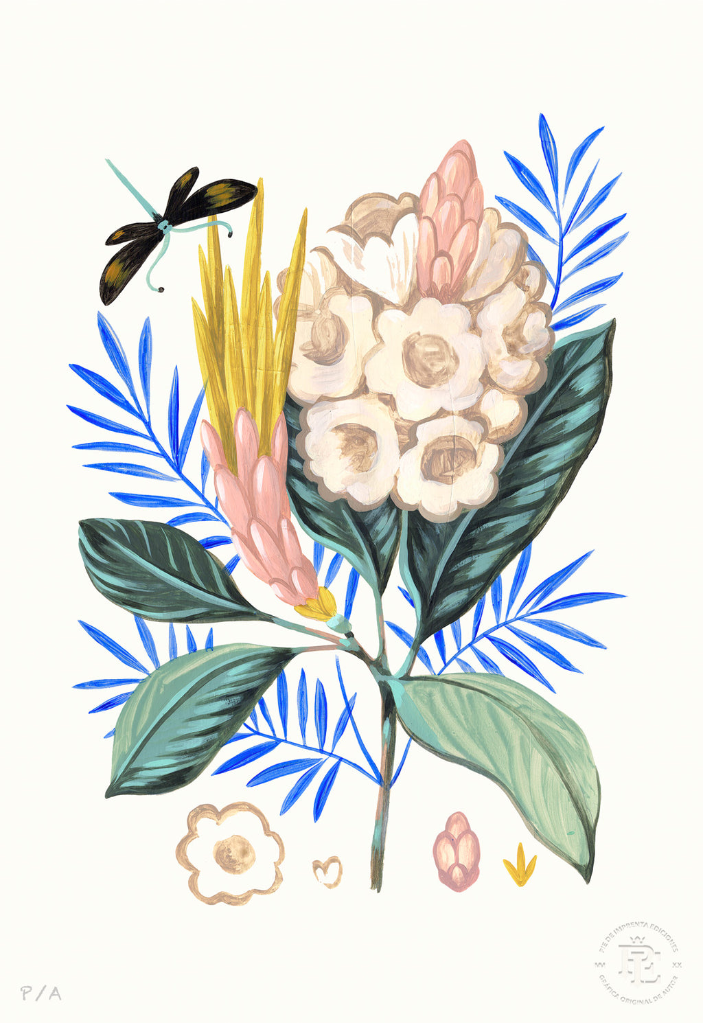 Protea Mia - 33 x 48 cm