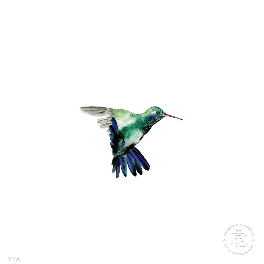 Colibrí Azúl  - 33 x 33 cm