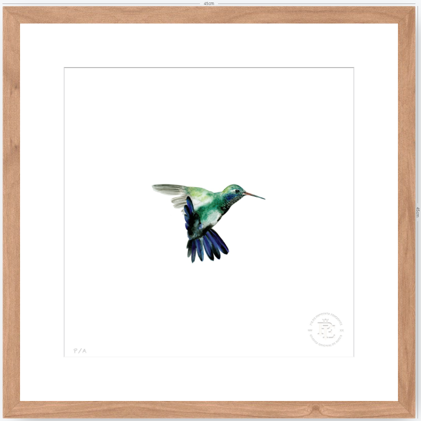 Colibrí Azúl  - 33 x 33 cm