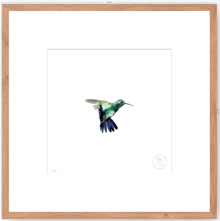 Colibrí Azúl  - 33 x 33 cm