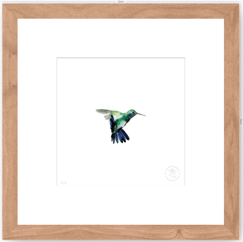 Colibrí Azúl  - 33 x 33 cm