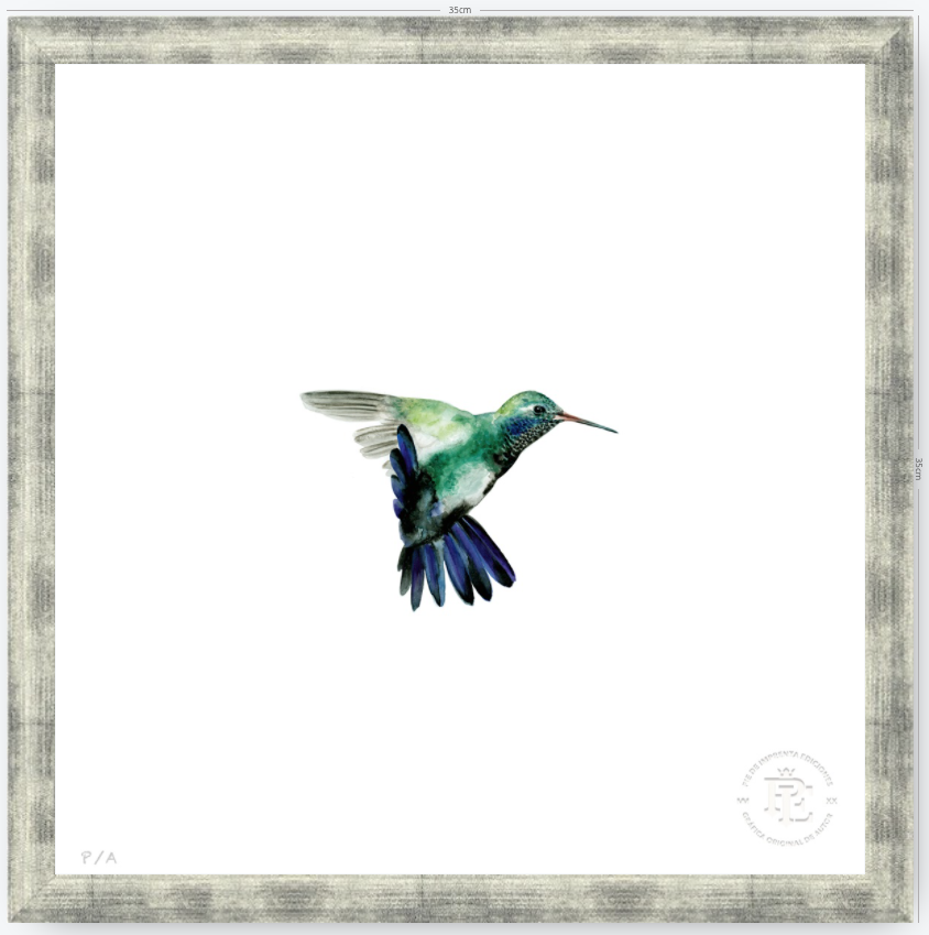 Colibrí Azúl  - 33 x 33 cm