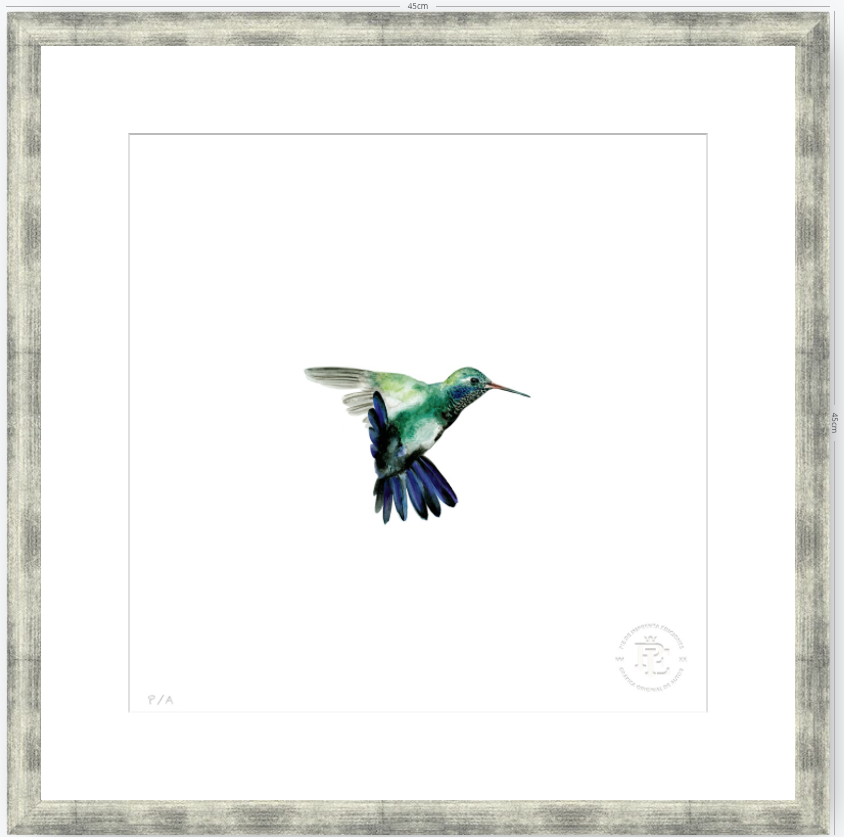 Colibrí Azúl  - 33 x 33 cm