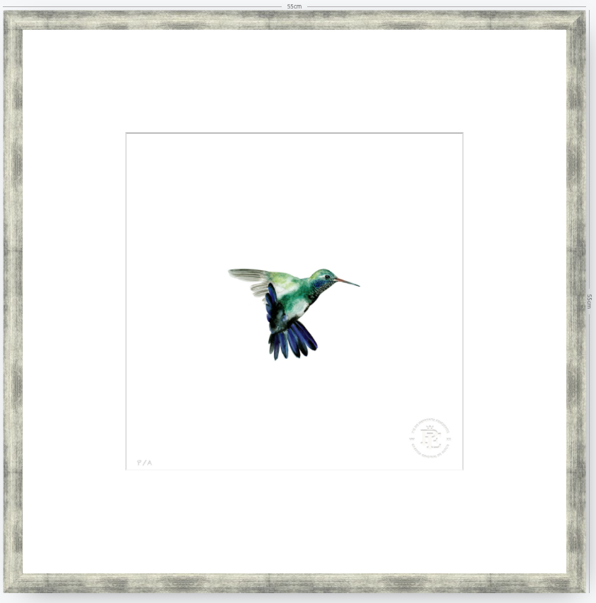 Colibrí Azúl  - 33 x 33 cm