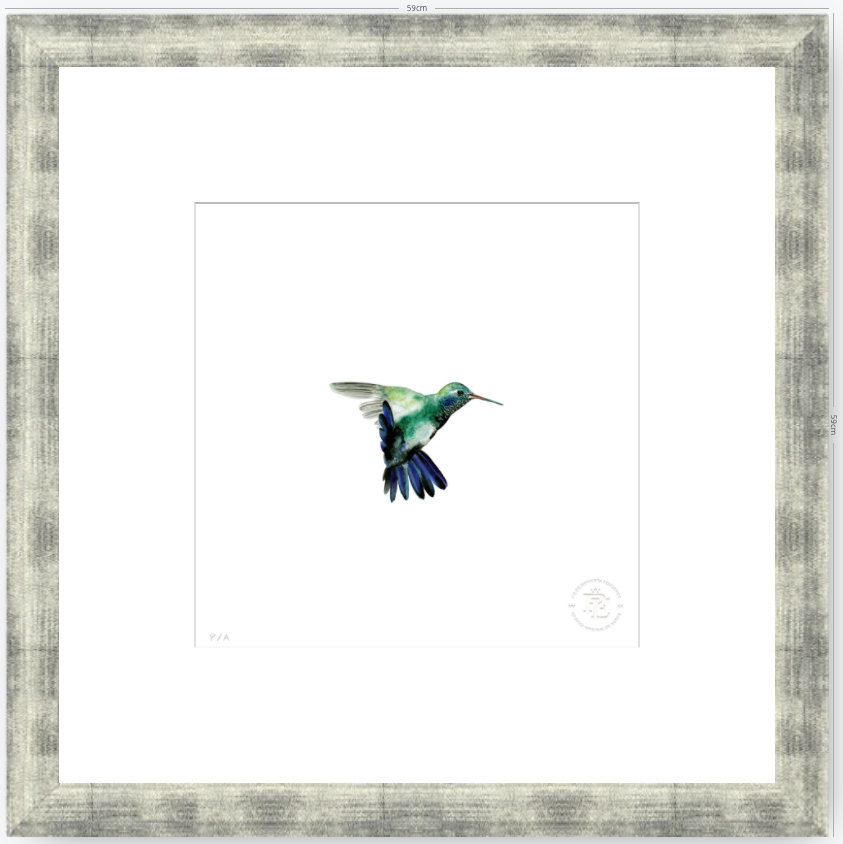 Colibrí Azúl  - 33 x 33 cm