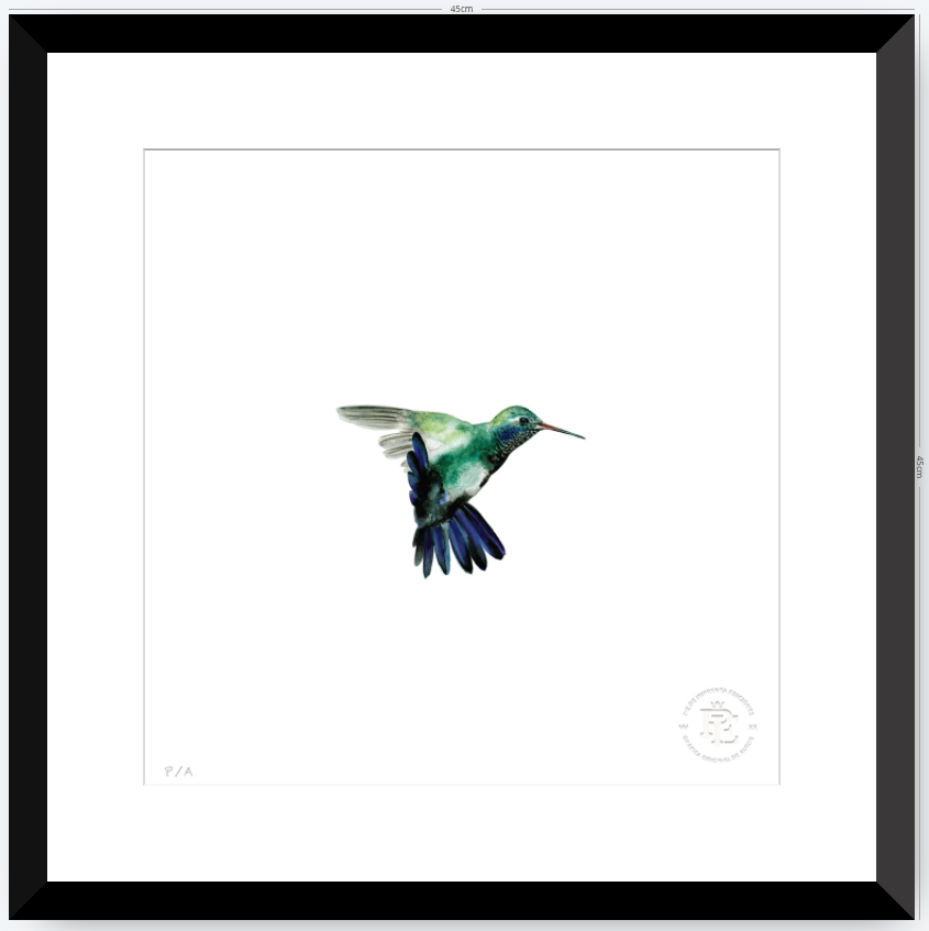 Colibrí Azúl  - 33 x 33 cm
