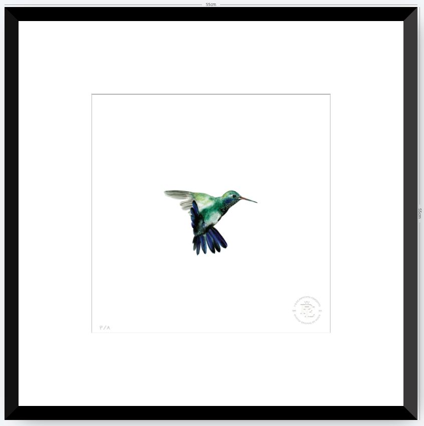 Colibrí Azúl  - 33 x 33 cm