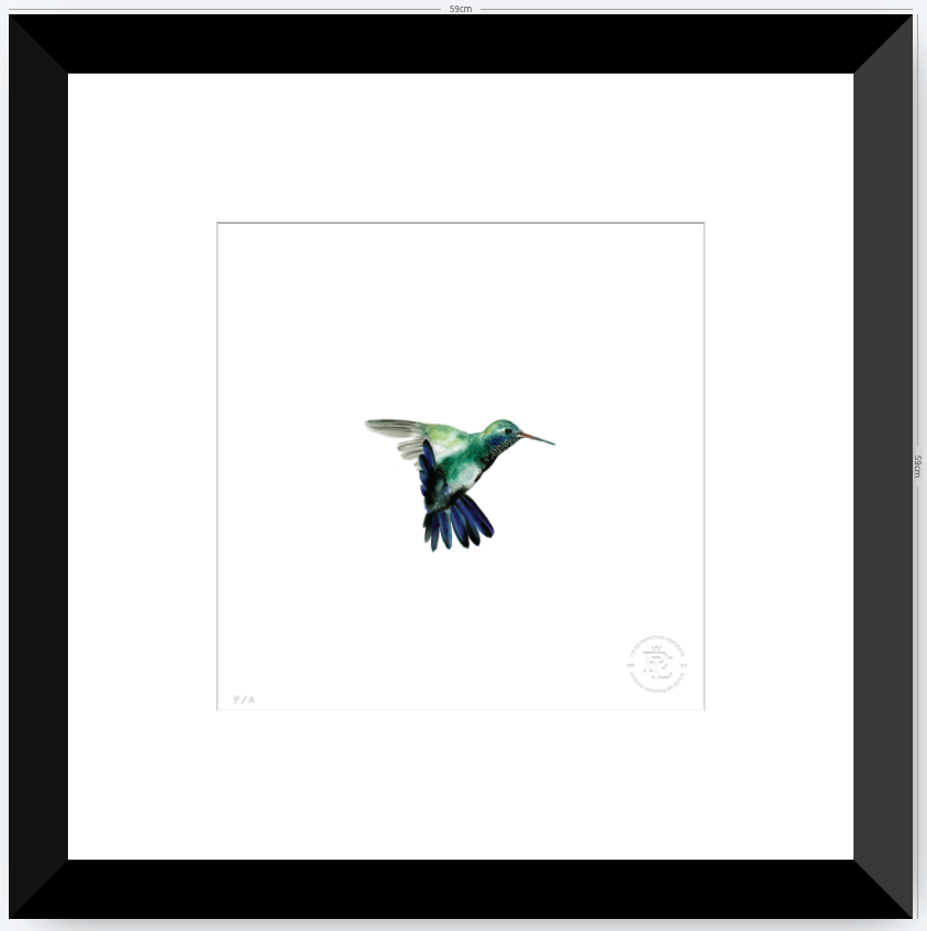 Colibrí Azúl  - 33 x 33 cm