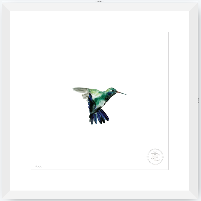 Colibrí Azúl  - 33 x 33 cm