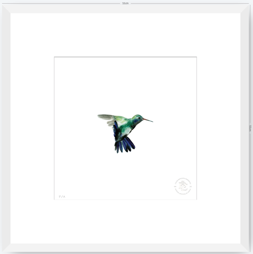 Colibrí Azúl  - 33 x 33 cm
