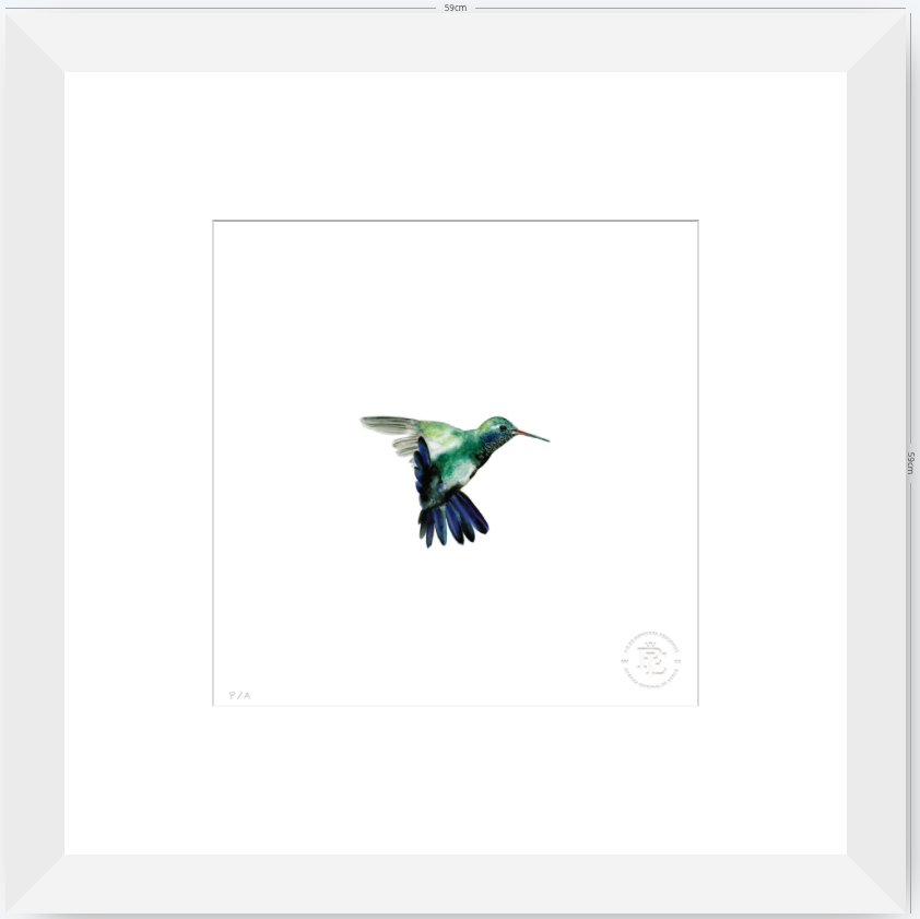 Colibrí Azúl  - 33 x 33 cm