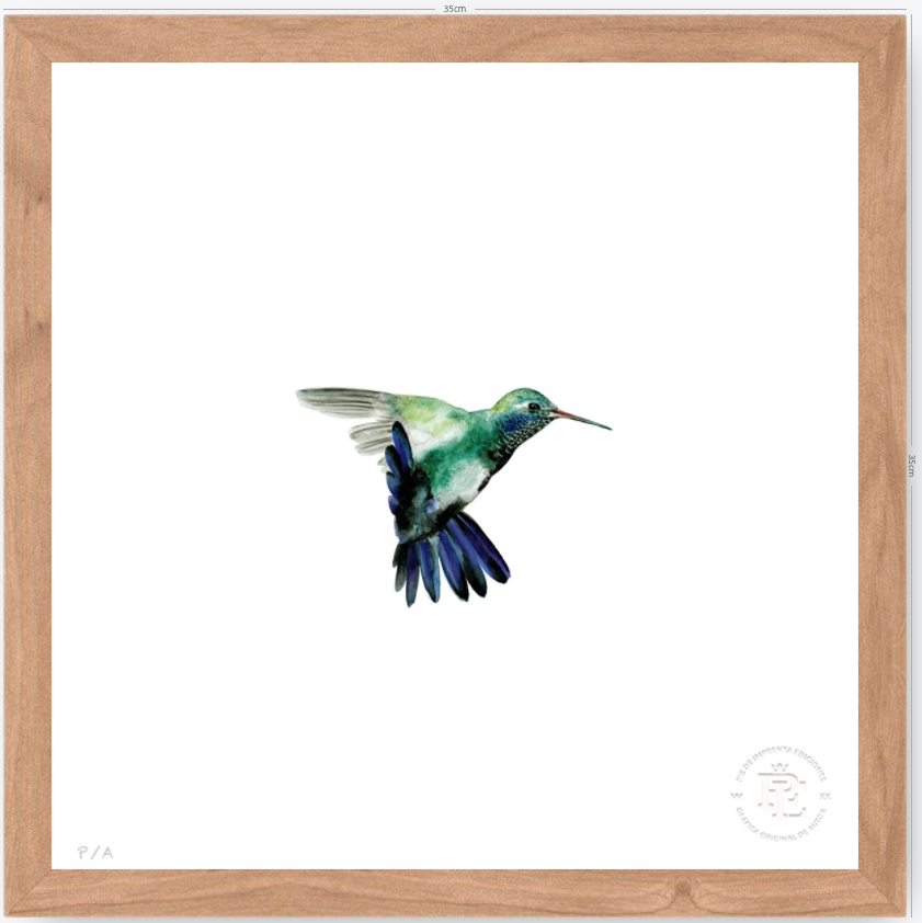 Colibrí Azúl  - 33 x 33 cm