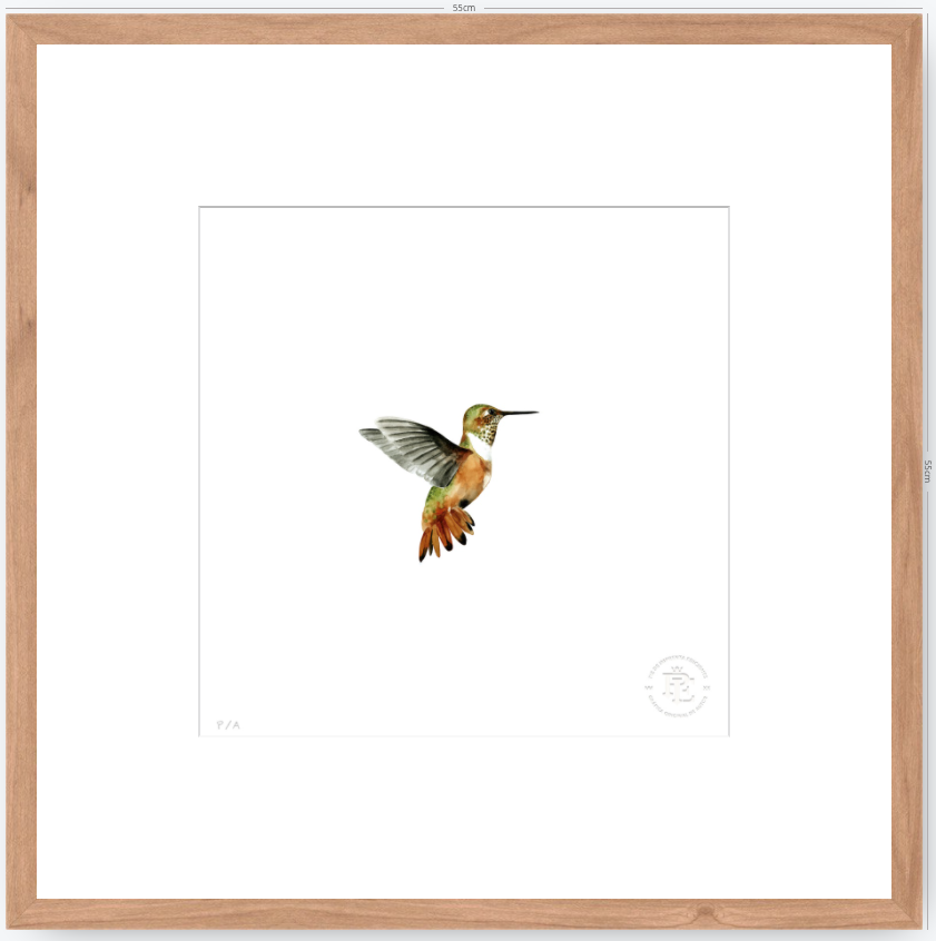 Colibrí Ocre - 33 x 33 cm