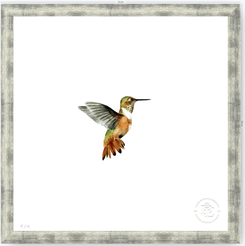 Colibrí Ocre - 33 x 33 cm
