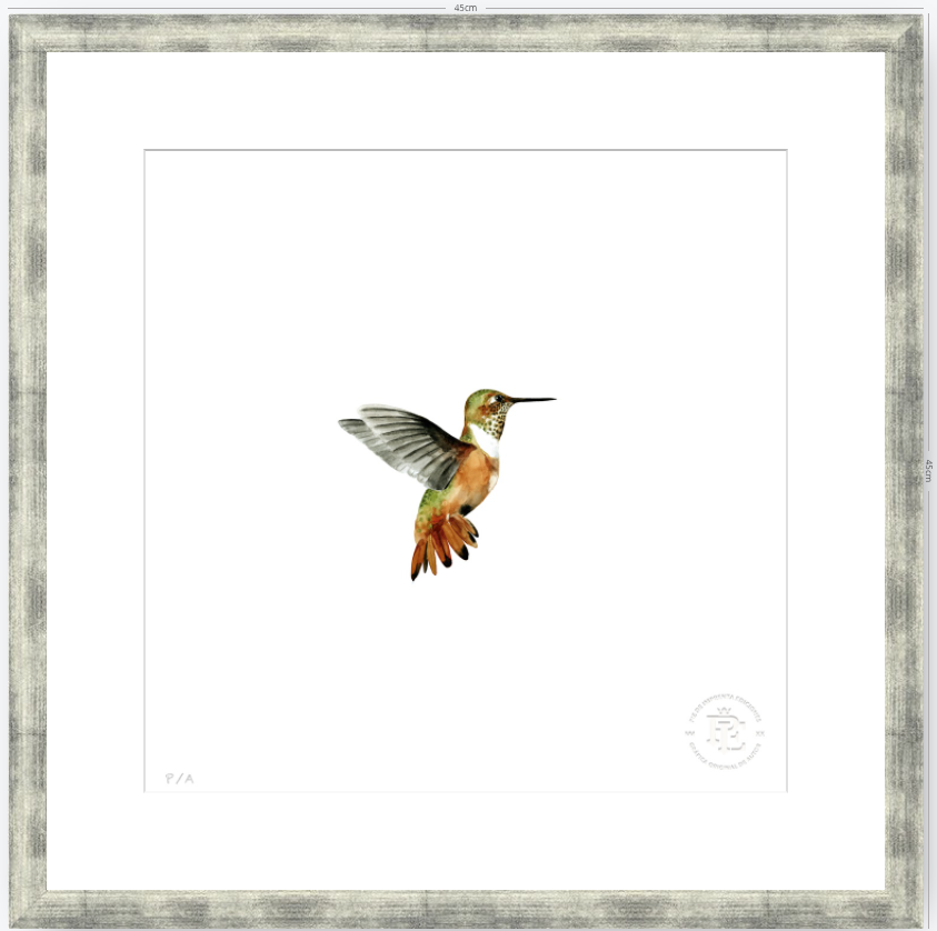 Colibrí Ocre - 33 x 33 cm