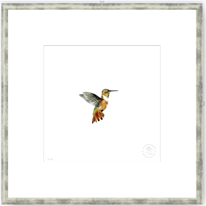 Colibrí Ocre - 33 x 33 cm
