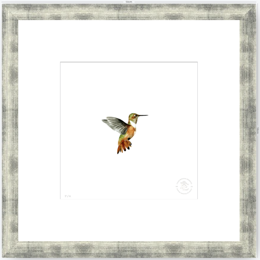 Colibrí Ocre - 33 x 33 cm