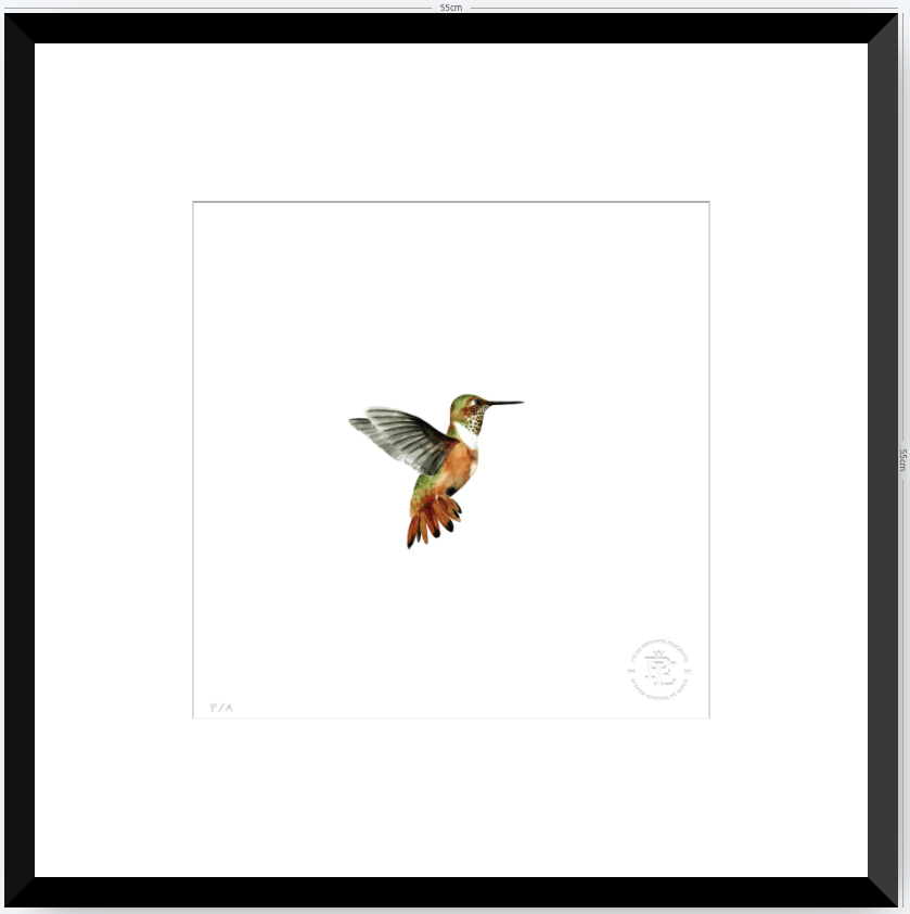 Colibrí Ocre - 33 x 33 cm