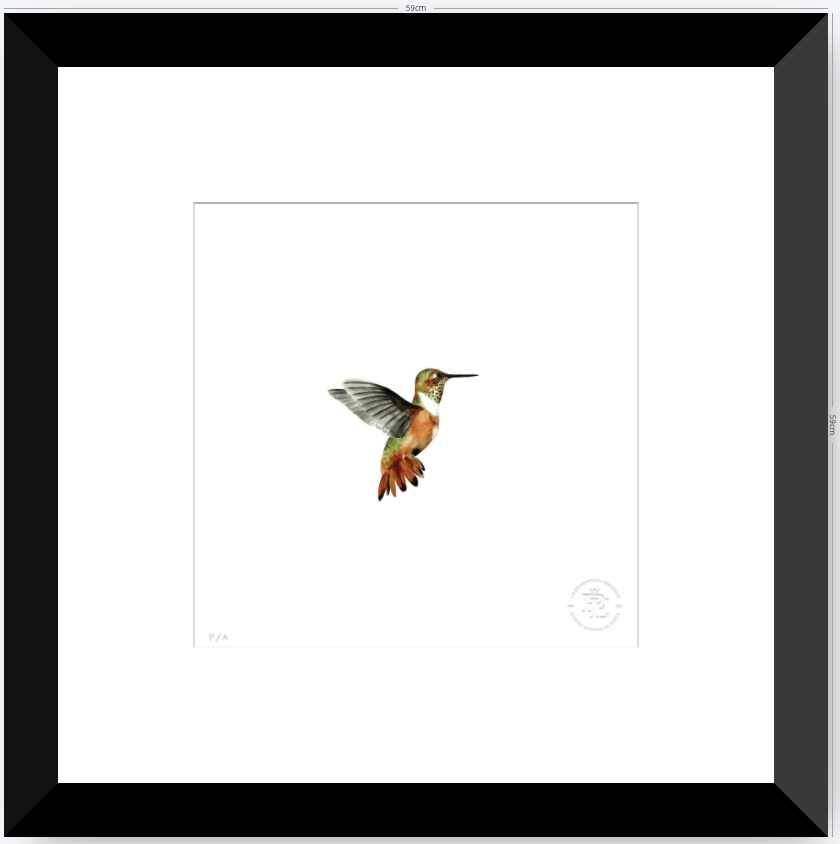 Colibrí Ocre - 33 x 33 cm