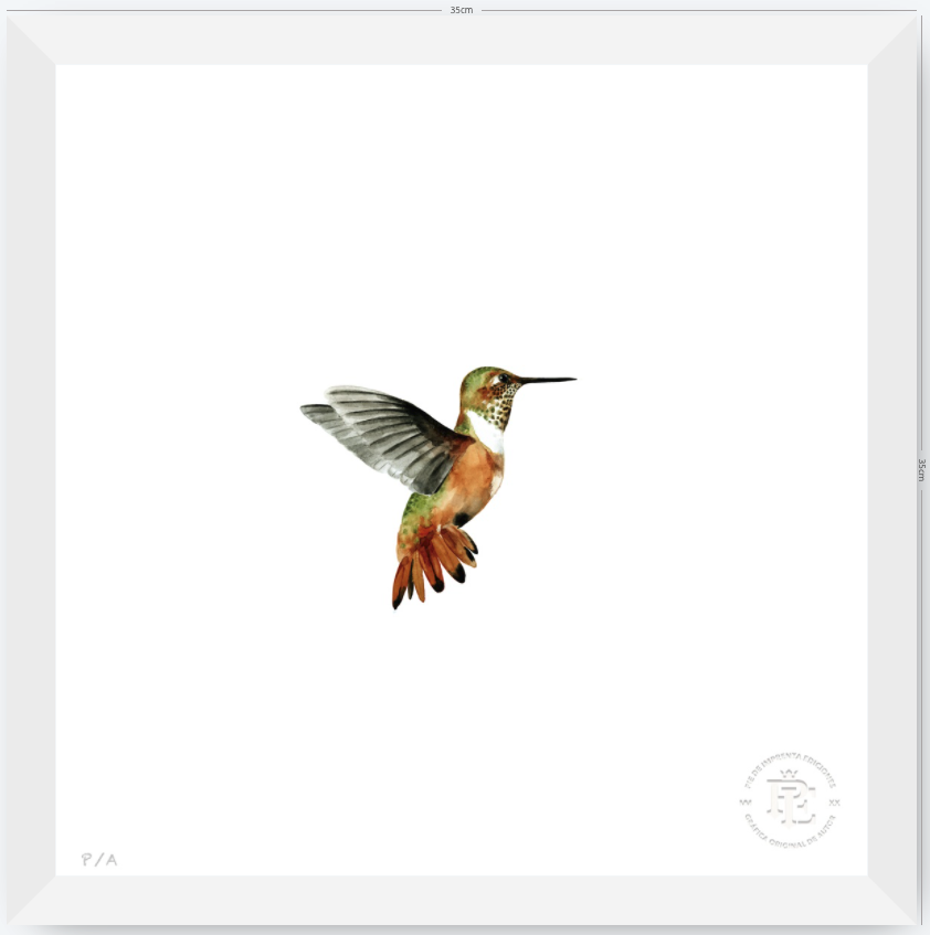 Colibrí Ocre - 33 x 33 cm