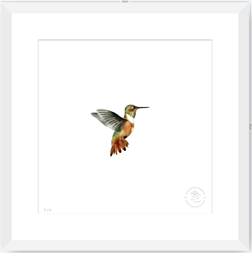 Colibrí Ocre - 33 x 33 cm