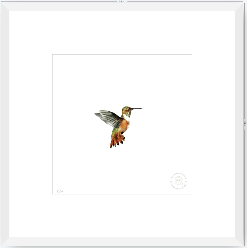 Colibrí Ocre - 33 x 33 cm