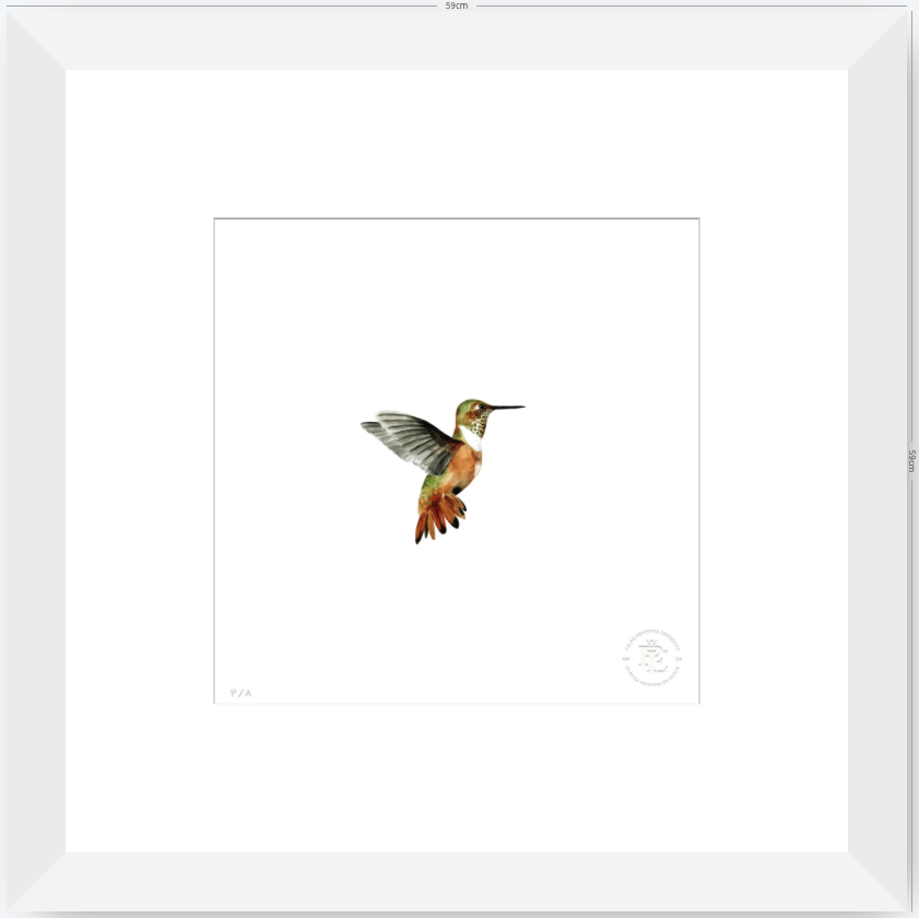 Colibrí Ocre - 33 x 33 cm