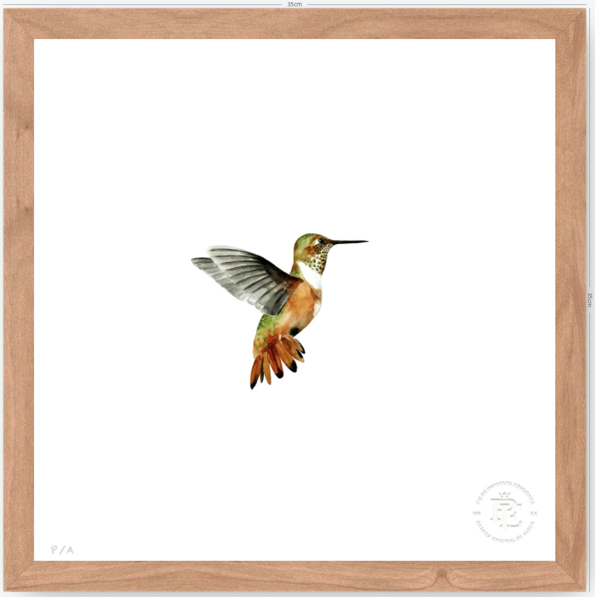 Colibrí Ocre - 33 x 33 cm