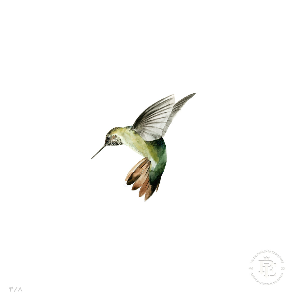 Colibrí Verde - 33 x 33 cm