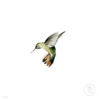 Colibrí Verde - 33 x 33 cm