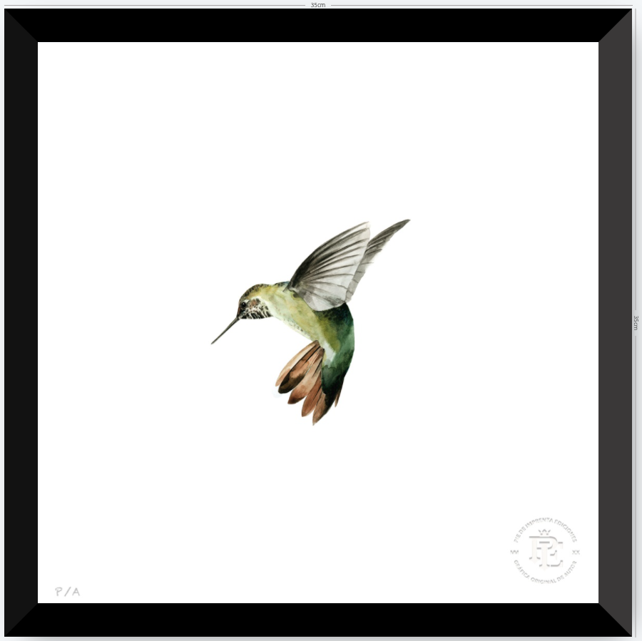 Colibrí Verde - 33 x 33 cm