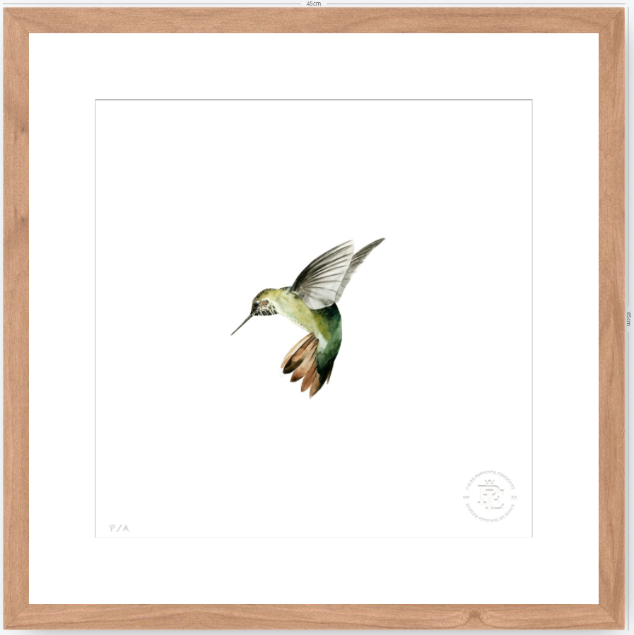 Colibrí Verde - 33 x 33 cm