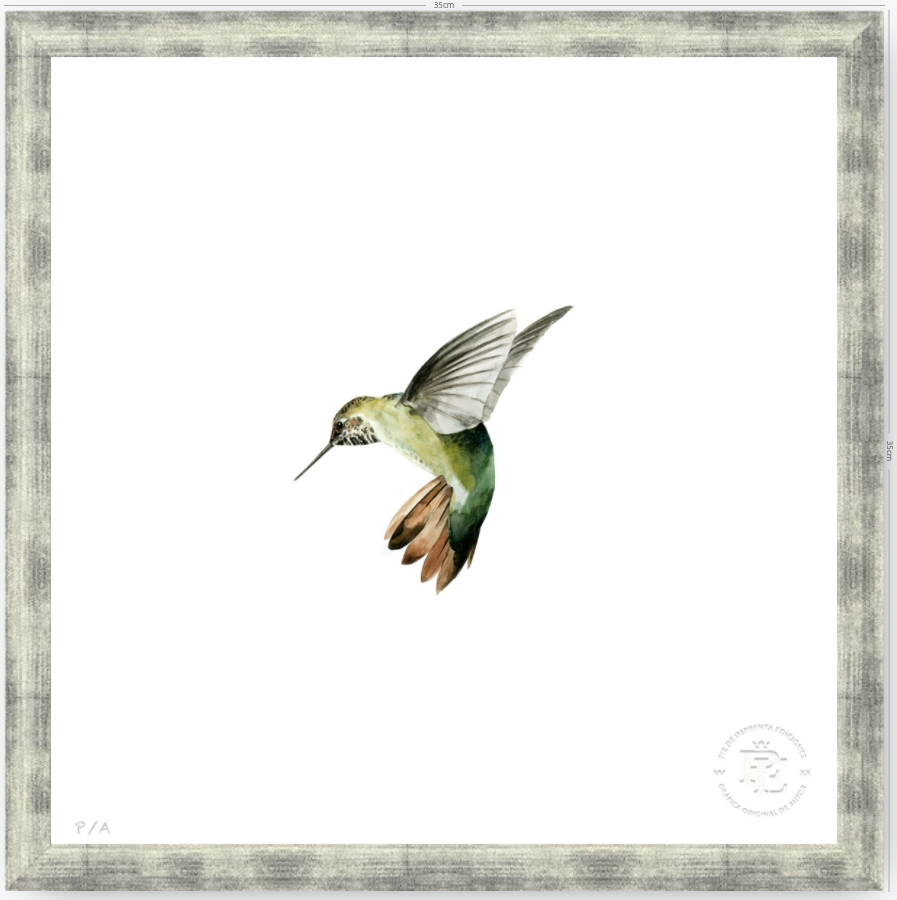 Colibrí Verde - 33 x 33 cm