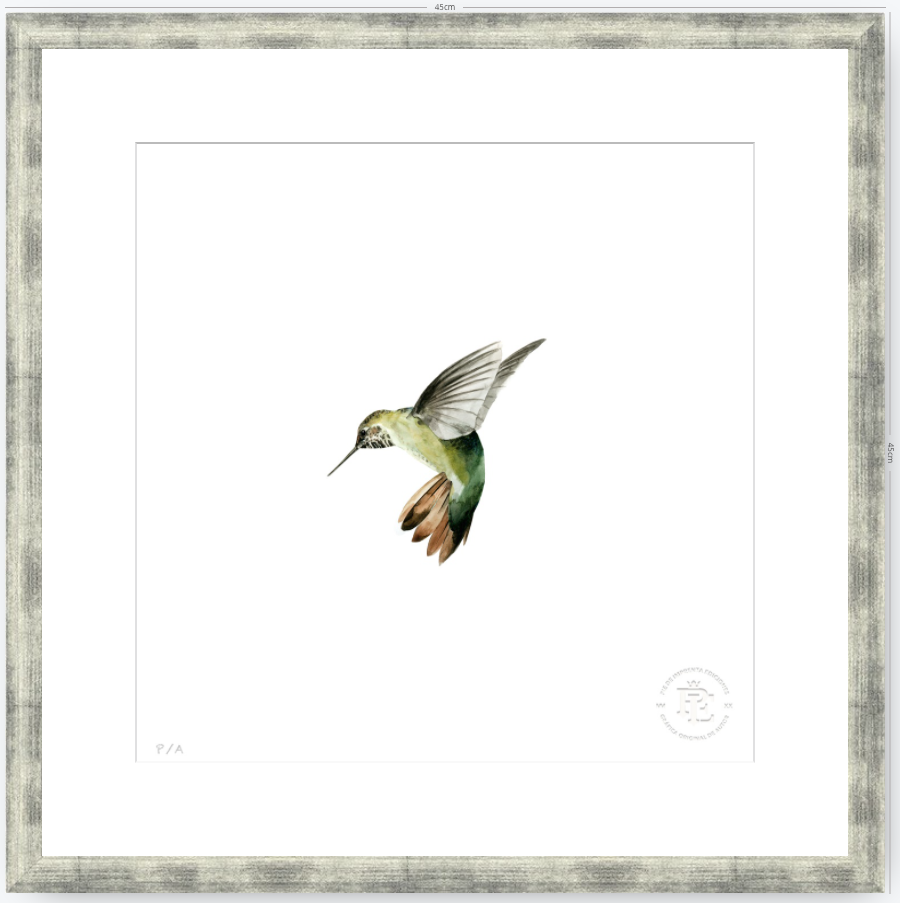 Colibrí Verde - 33 x 33 cm