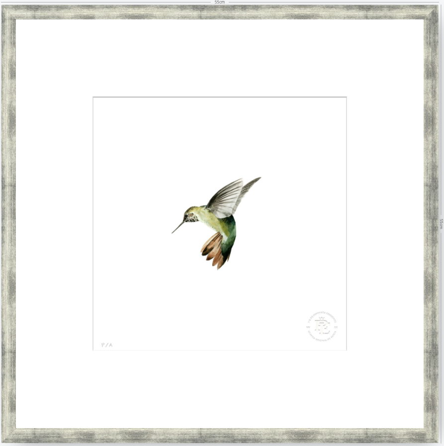 Colibrí Verde - 33 x 33 cm