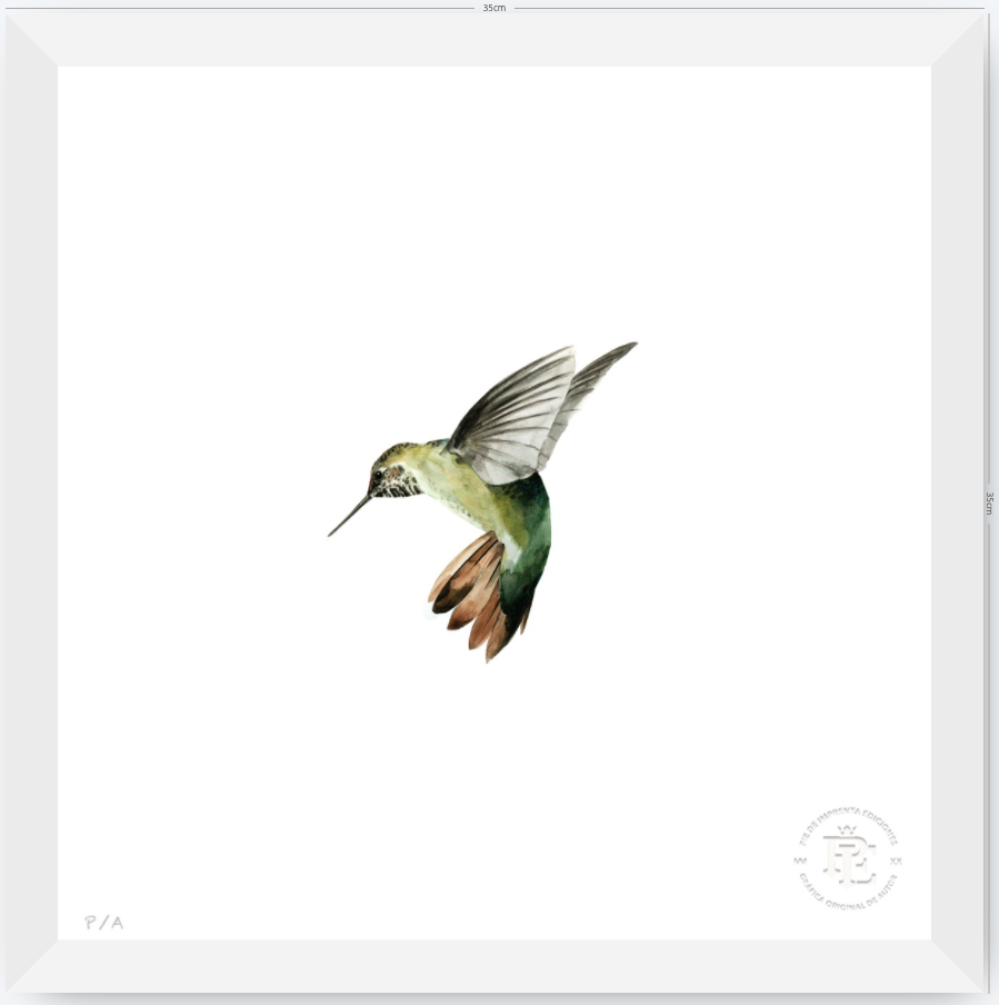 Colibrí Verde - 33 x 33 cm