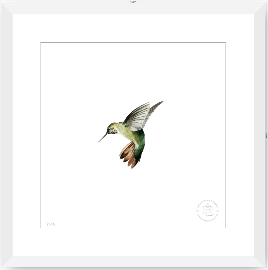 Colibrí Verde - 33 x 33 cm