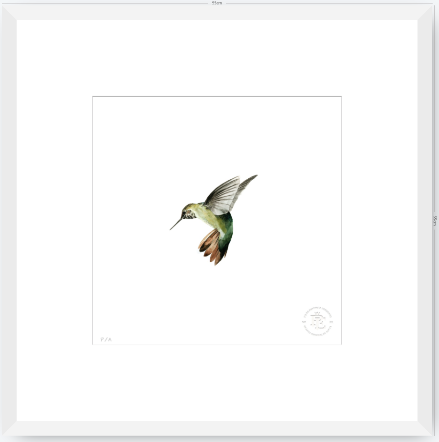 Colibrí Verde - 33 x 33 cm