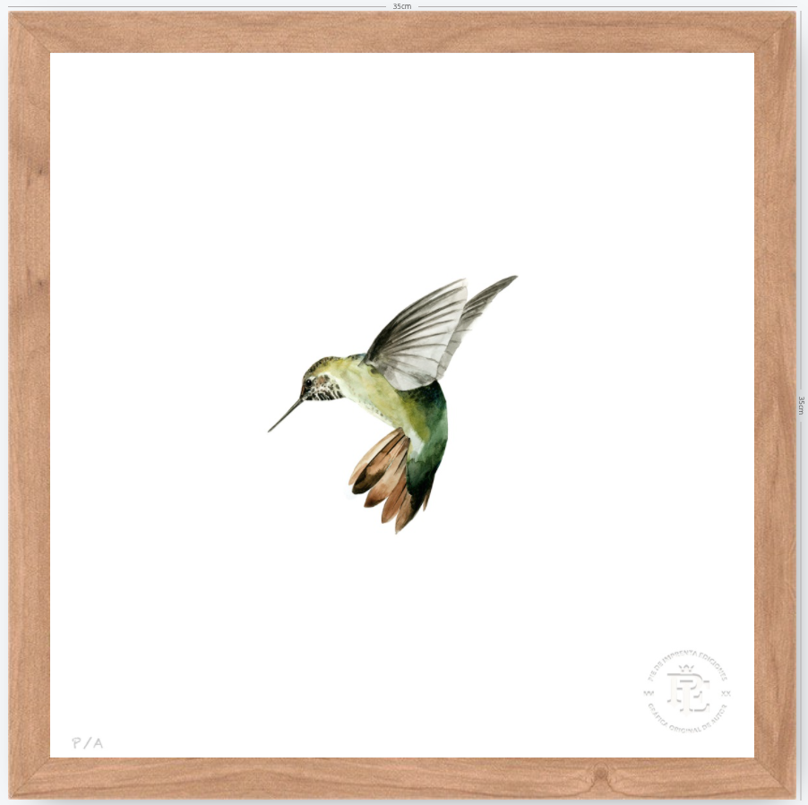 Colibrí Verde - 33 x 33 cm